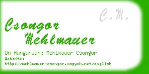csongor mehlmauer business card